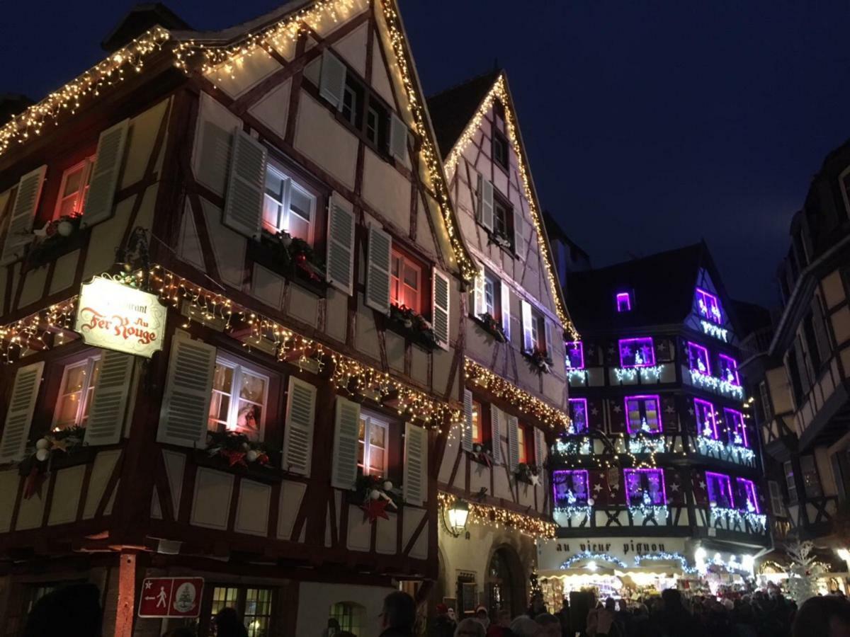 Beaux Lofts Pres D'Europa Park Et Strasbourg Villa Obenheim Exterior foto